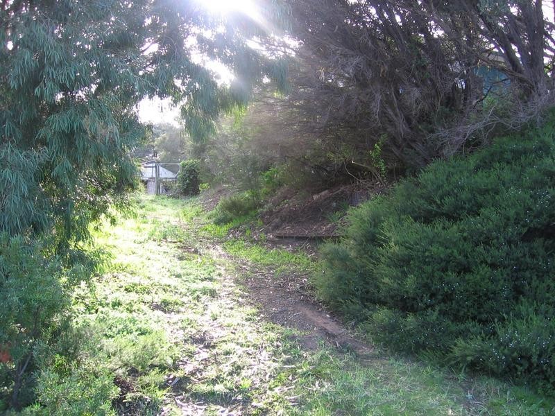 24 Nalong St, Rye VIC 3941