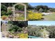 14 Carly Place, Tootgarook VIC 3941