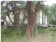 89 Jetty Road, Rosebud VIC 3939