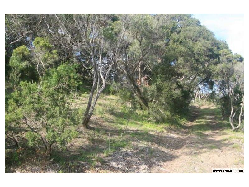 19 Tarawill Street, Rye VIC 3941