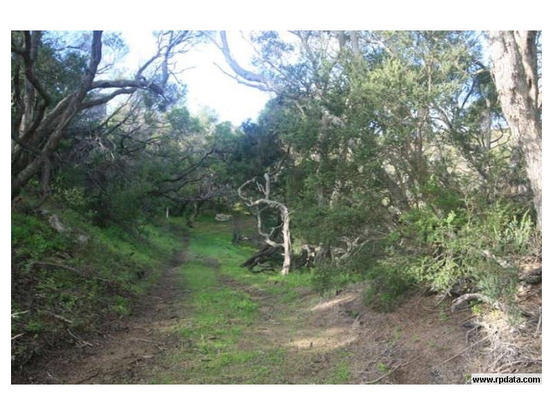 19 Tarawill Street, Rye VIC 3941