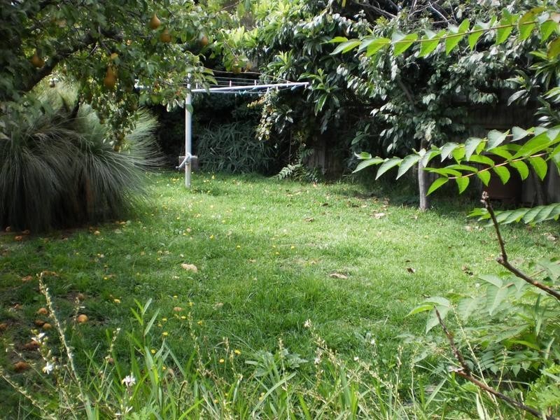 3 The Avenue, Tootgarook VIC 3941