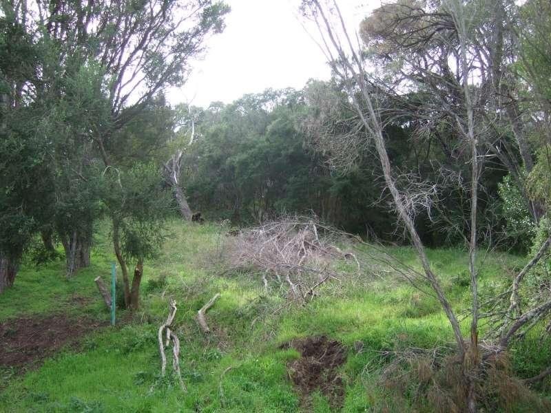 12 Boomerang Court, Tootgarook VIC 3941