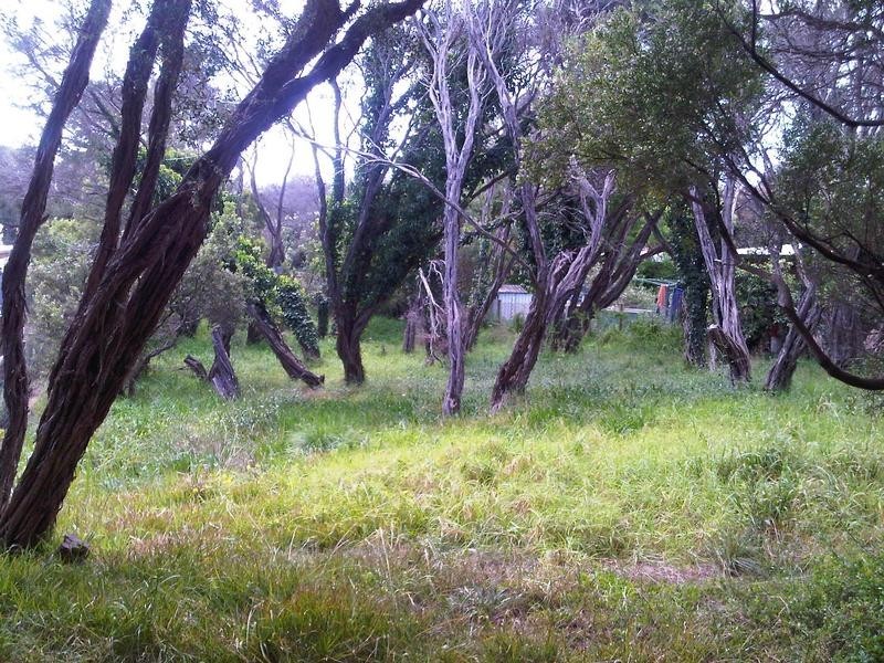 260 Melbourne Road, Blairgowrie VIC 3942