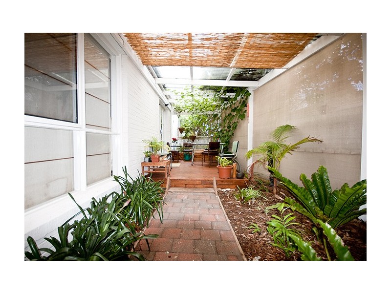 146 Truemans Rd, Tootgarook VIC 3941