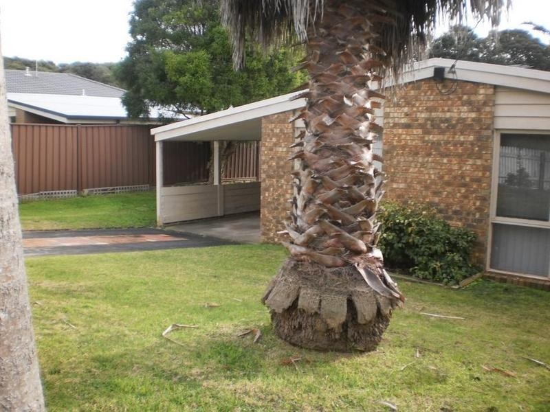 12 Owarra Street, Rye VIC 3941