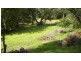 37 Kareela Drive, Tootgarook VIC 3941