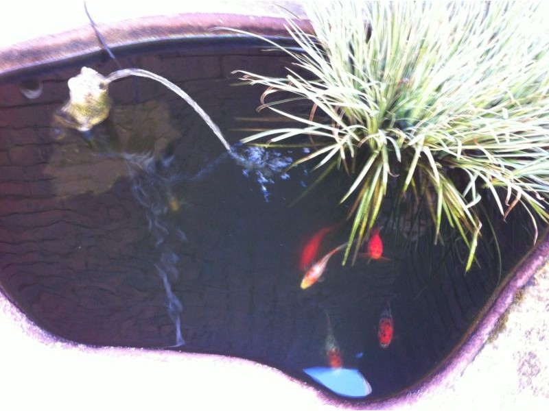 3/9-11 Cootamundra Avenue, Rosebud West VIC 3940