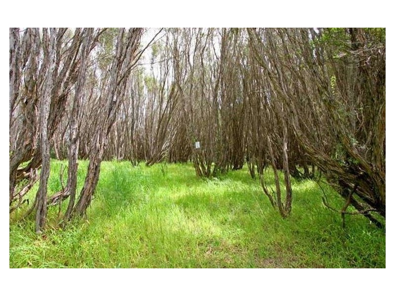 29 Belar Road, Tootgarook VIC 3941