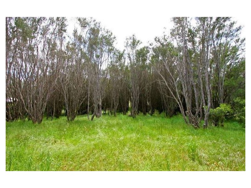 29 Belar Road, Tootgarook VIC 3941