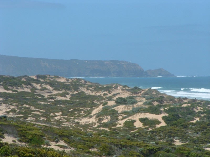 6 Mernda St, Rye VIC 3941