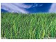 Lot 13, 131 Nepean Hwy, Dromana VIC 3936