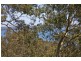 65 Lake View Road, Wangi Wangi NSW 2267