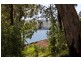 26 Coal Point Road, Coal Point NSW 2283