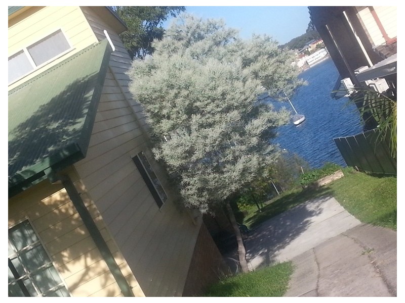 142 Sealand Road, Fishing Point NSW 2283