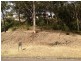 79 Alkrington Avenue, Fishing Point NSW 2283