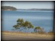 56 Wangi Point Road, Wangi Wangi NSW 2267