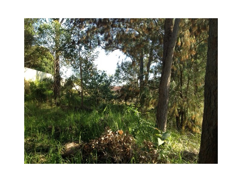 10 Claret Ash Close, Toronto NSW 2283