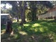 20 Fern Street, Arcadia Vale NSW 2283