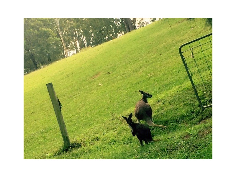 Mount Vincent NSW 2323