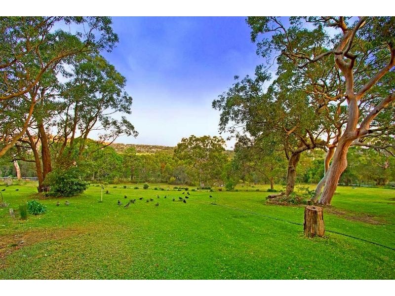 110 Bellevue Rd, Tumbi Umbi NSW 2261