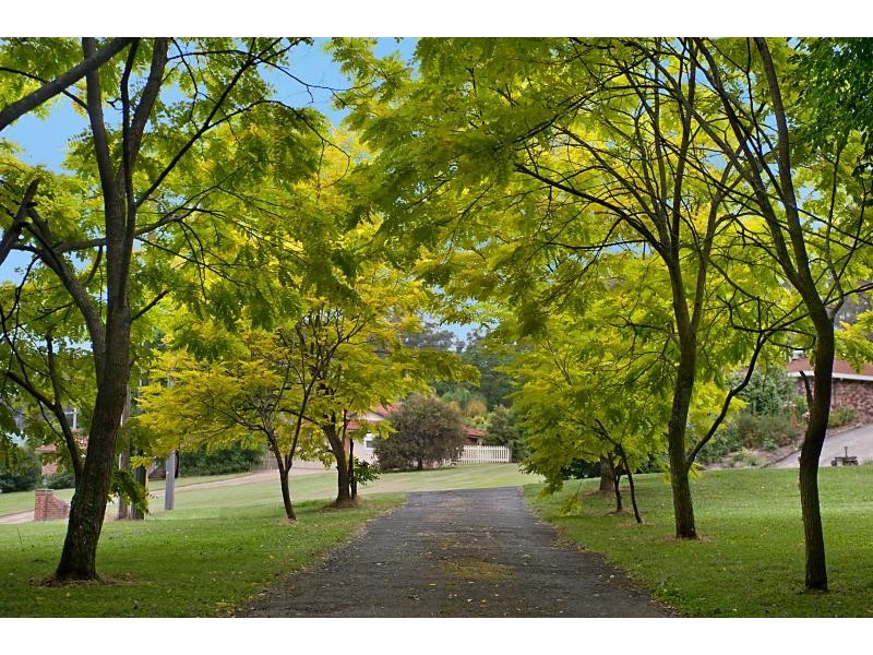 6 Pescud Close, Tumbi Umbi NSW 2261