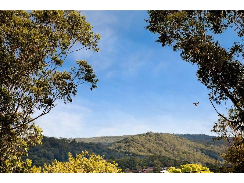 3 Chestnut Street, Wyoming NSW 2250