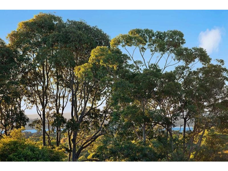 28 Cuthbert Road, Killarney Vale NSW 2261