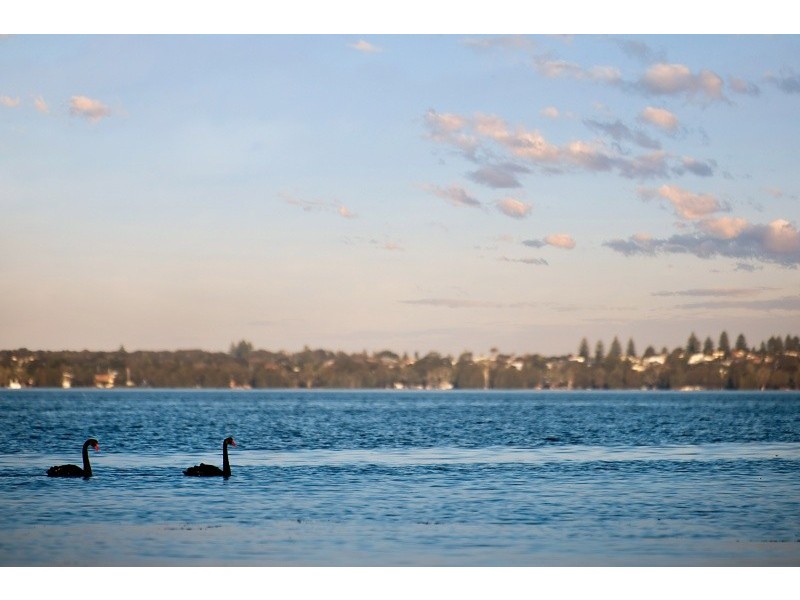 353 Lakedge Ave, Berkeley Vale NSW 2261