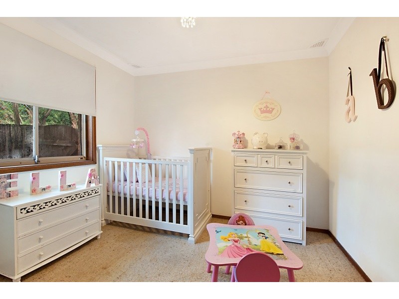 239 Cygnet Drive, Berkeley Vale NSW 2261