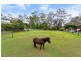 108 Reeves Street, Narara NSW 2250