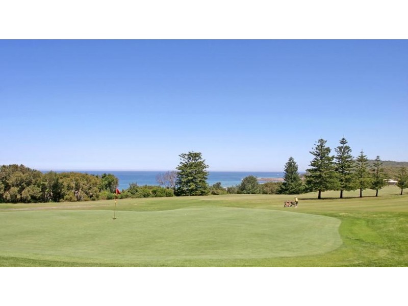 44 Bellevue St, Shelly Beach NSW 2261