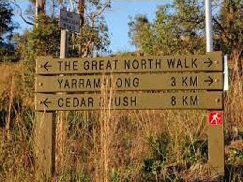 Lot 981 Ravensdale Rd, Ravensdale NSW 2259