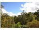 Canungra QLD 4275