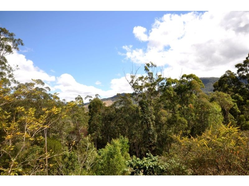 Canungra QLD 4275