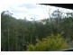Canungra QLD 4275