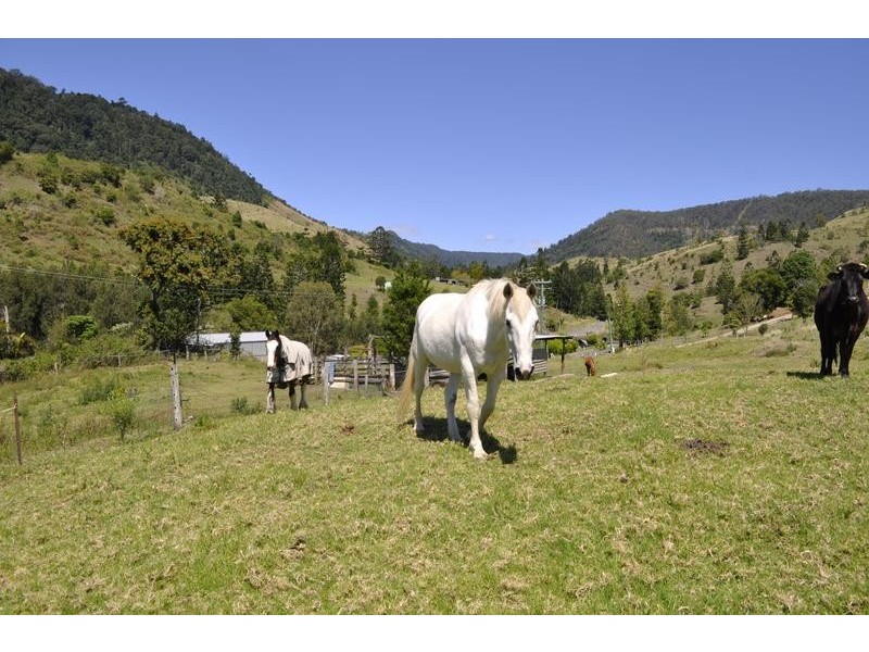 530 Illinbah Road, Illinbah QLD 4275