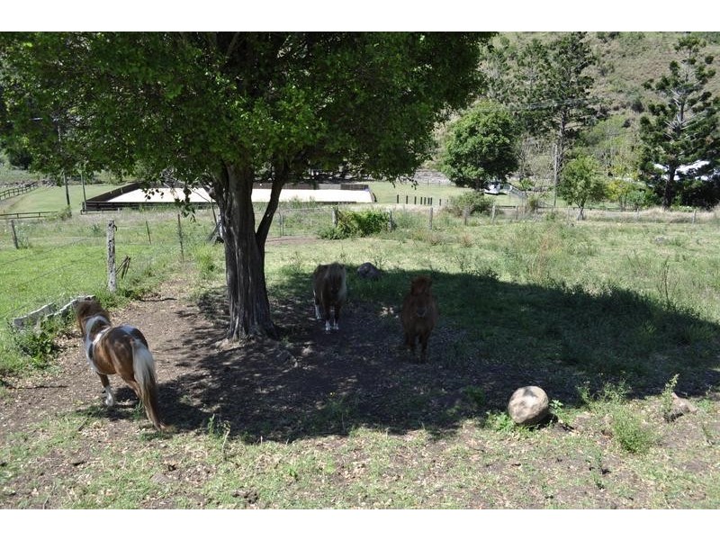 530 Illinbah Road, Illinbah QLD 4275