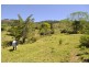 530 Illinbah Road, Illinbah QLD 4275