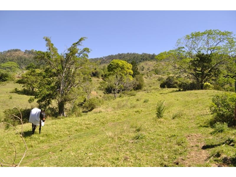 530 Illinbah Road, Illinbah QLD 4275