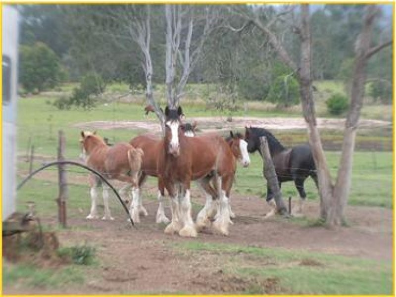 3106 Beaudesert-Beenleigh Road, Birnam QLD 4285