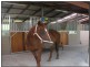 Guanaba QLD 4210