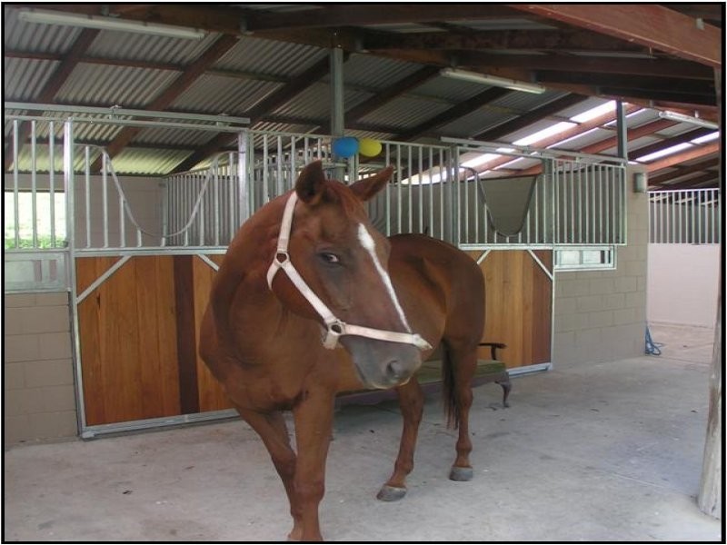 Guanaba QLD 4210