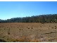 Illinbah QLD 4275