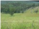 Benobble QLD 4275