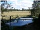 50 Karen Court, Tamborine QLD 4270