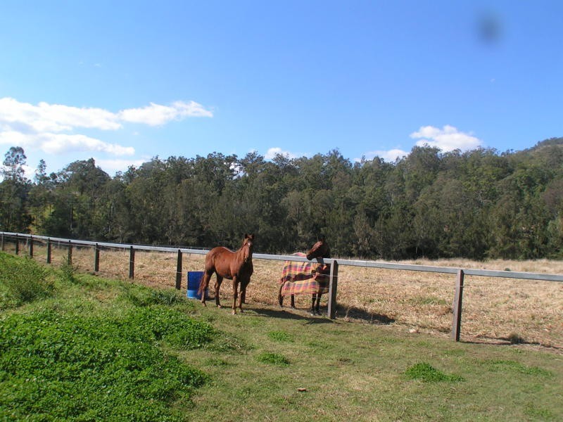 48 Double Crossing Road, Canungra QLD 4275