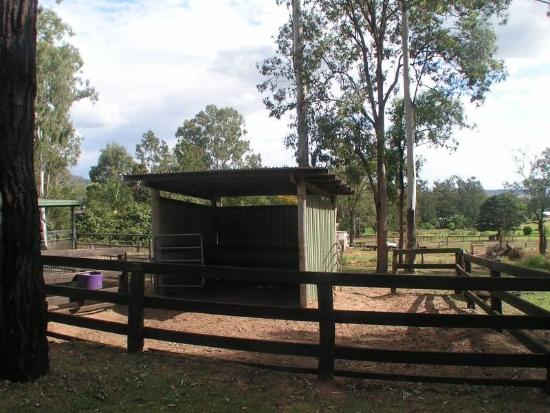 Canungra QLD 4275
