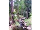 Canungra QLD 4275