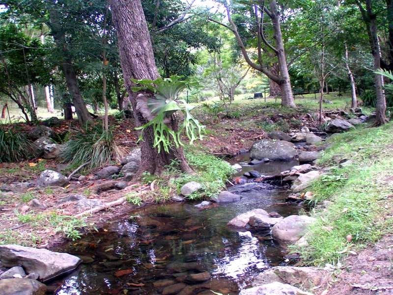 Canungra QLD 4275